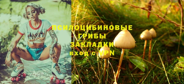 кокаин колумбия Белокуриха