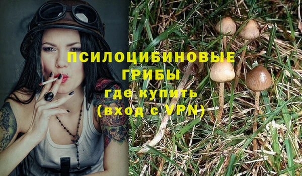 эйфоретик Беломорск