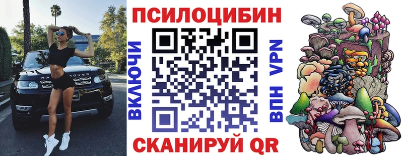 Псилоцибиновые грибы Psilocybine cubensis Духовщина